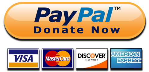 PayPal Donate Logo